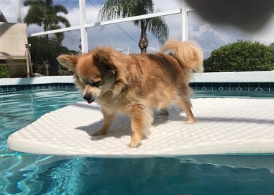 Chillin' in the pool