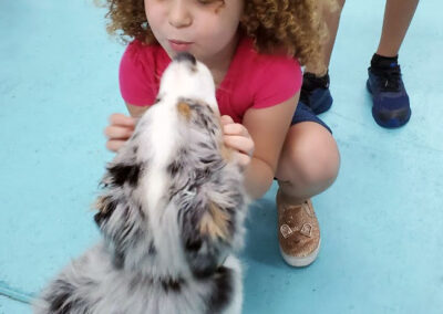 Puppy training class, teaching the Girl too