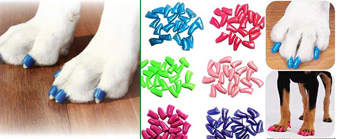 Toenail Grips and Covers for Dogs