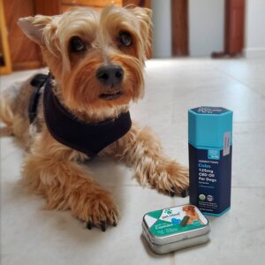 We sell High Quality CBD products for pets