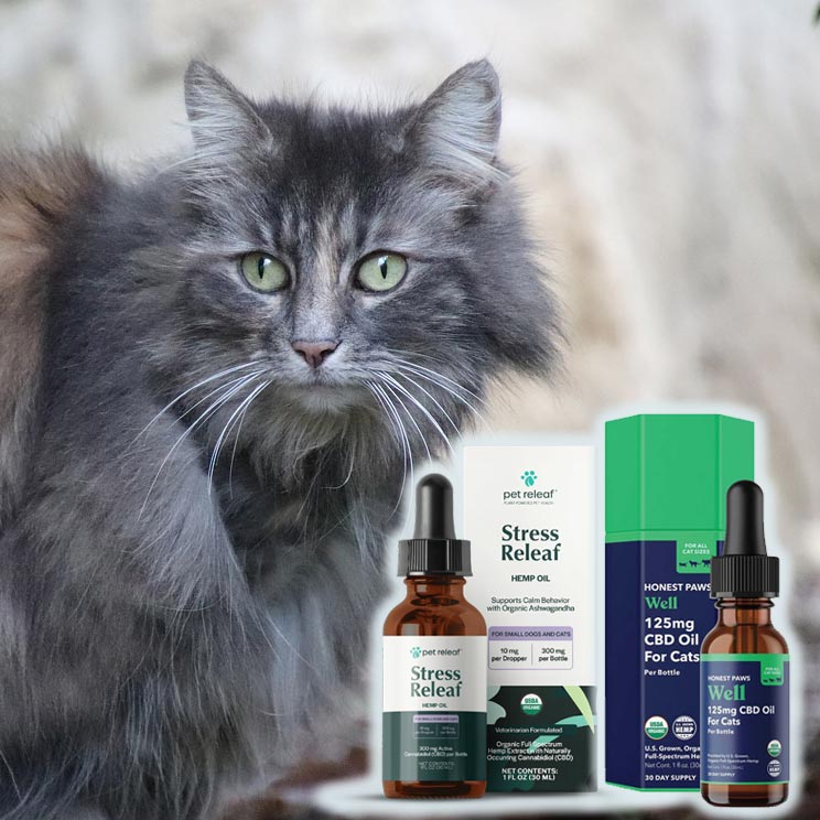 CBD products for Cats
