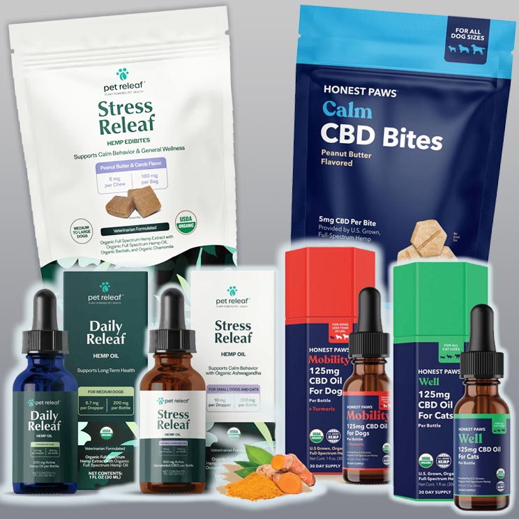 CBD products available at Cats n Dogs