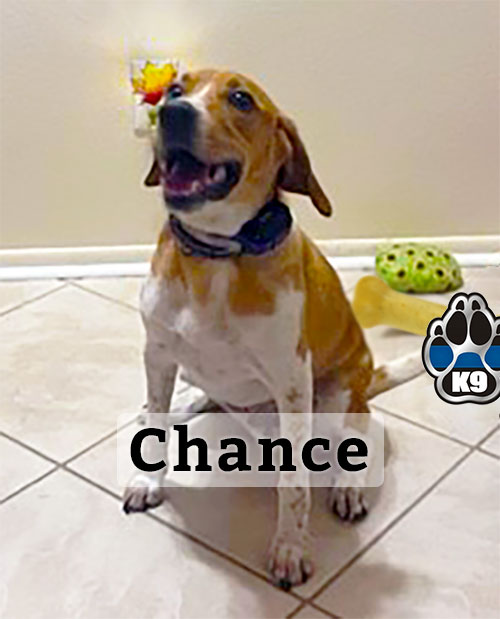 Interviewing Chance – Punta Gorda PDs Newest Officer
