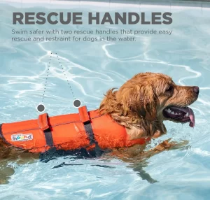 A dog swimming in an Outward Hound life jacket with rescue handles.